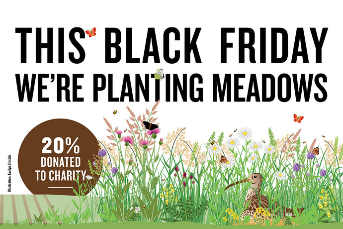We're planting meadows for Black Friday