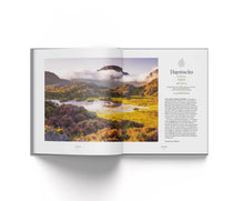 Load image into Gallery viewer, Forty Fells - Conversations about change in the Lake District mountains
