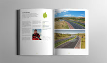 Load image into Gallery viewer, Through the locking glass - lockdown creations from the artists of Cumbria - Ashley Cooper