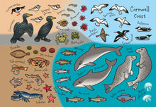 Load image into Gallery viewer, The Cornwall Sticker Book