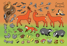 Load image into Gallery viewer, The Cornwall Sticker Book