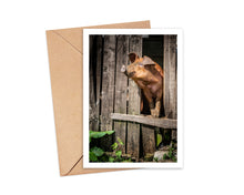 Load image into Gallery viewer, Tamworth takes in the View at Penny Hill Farm