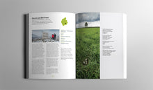 Load image into Gallery viewer, Through the locking glass - lockdown creations from the artists of Cumbria - Harriet and Rob Fraser