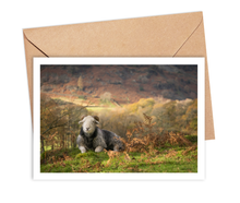 Load image into Gallery viewer, Forty Farms greetings cards by Amy Bateman