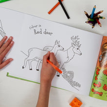Load image into Gallery viewer, The Lake District Sticker Book Colour Activity