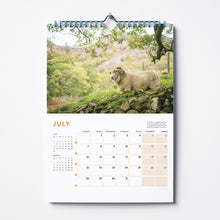 Load image into Gallery viewer, &#39;Herdwicks of the Lake District&#39; 2025 calendar by Amy Bateman
