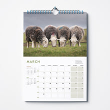 Load image into Gallery viewer, &#39;Herdwicks of the Lake District&#39; 2025 calendar by Amy Bateman
