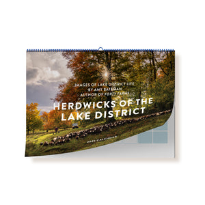 'Herdwicks of the Lake District' 2025 calendar by Amy Bateman