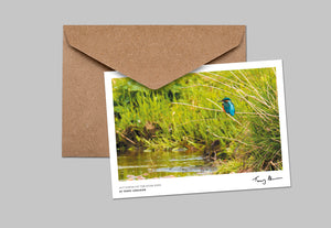Terry Abraham Lake District Wildlife and Landscapes Greeting Cards