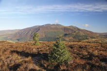 Load image into Gallery viewer, Walking the Lake District Fells - Keswick (Skiddaw, Blencathra and the North)
