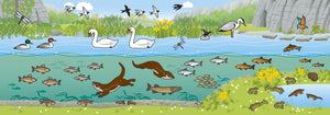 The Derbyshire Sticker Book Animal Stickers