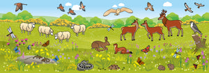 The Cornwall Sticker Book