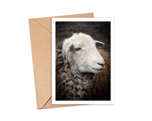 Forty Farms greetings cards by Amy Bateman