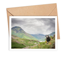 Load image into Gallery viewer, Forty Farms greetings cards by Amy Bateman
