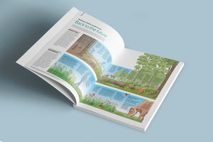 Inside The Lake District in 101 Maps and Infographics