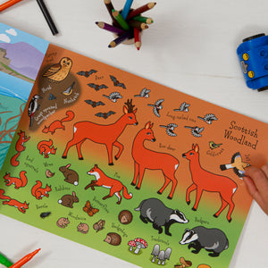 The Scotland Sticker Book Scottish Woodland Animal Stickers