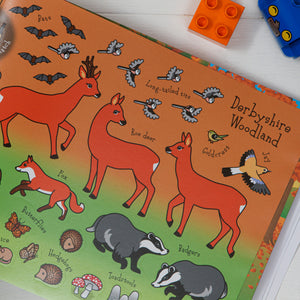 The Derbyshire Sticker Book Woodland Animal Stickers