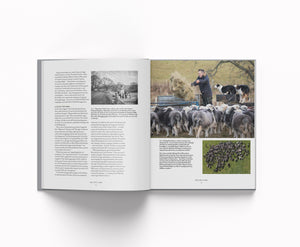 Forty Farms - Conversations about change in the landscapes of Cumbria